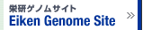 栄研ゲノムサイト Eiken Genome Site